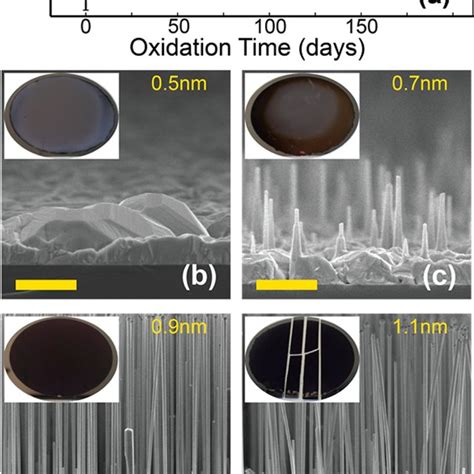 native oxide thickness measurement|native oxide and silicon nanowire.